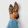 Lampart
